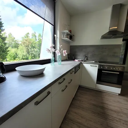 Apartment 21097