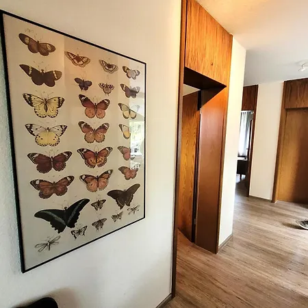 21097 Apartment *